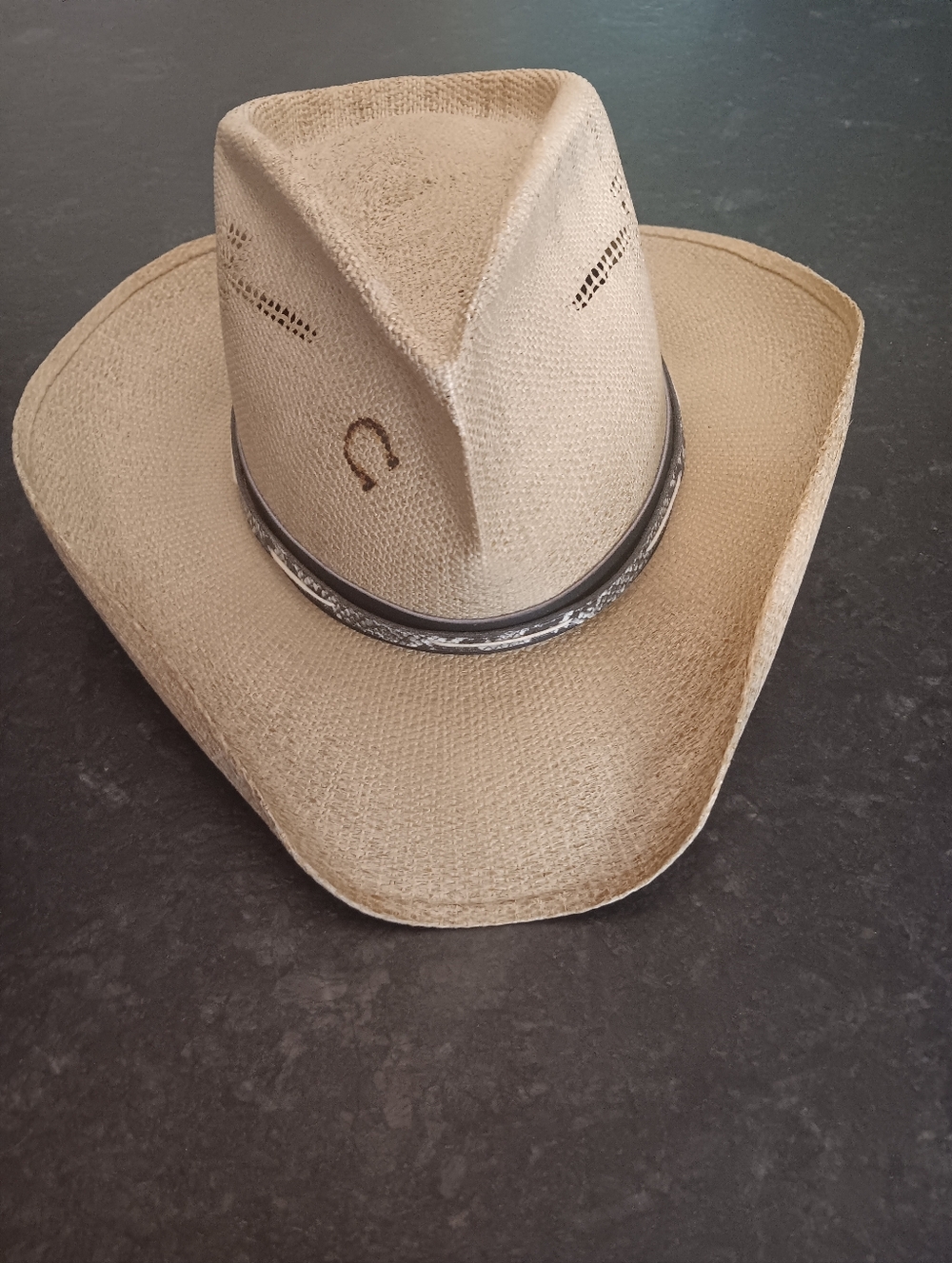 Charlie Horse Cowboy Hat with Decorative Band - Natural Beige